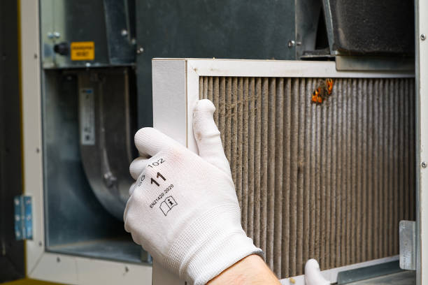 Best Local Air Duct Cleaning Services  in Fannett, TX